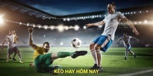Kèo Hay Hôm Nay - Cách Tìm Kèo Thơm Cùng 92lottery
