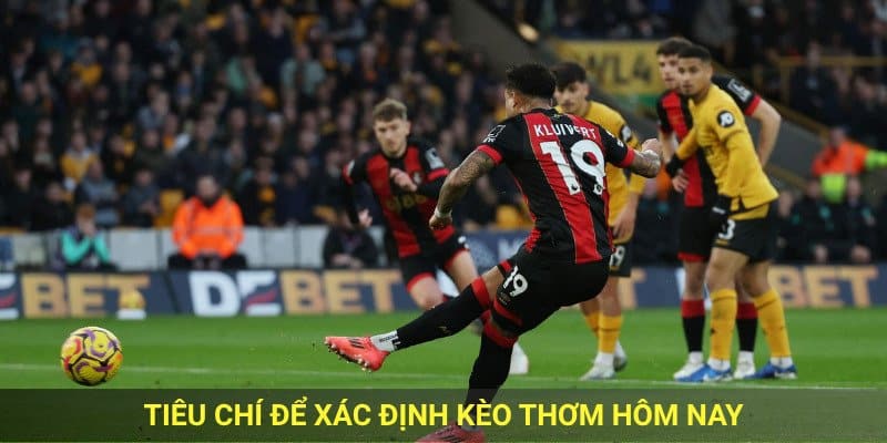 Tiêu chí để xác định kèo thơm hôm nay.