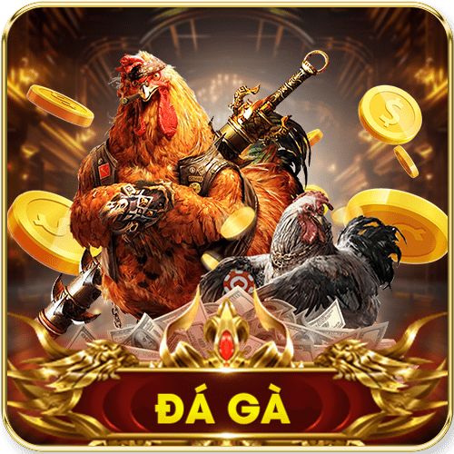 đá gà